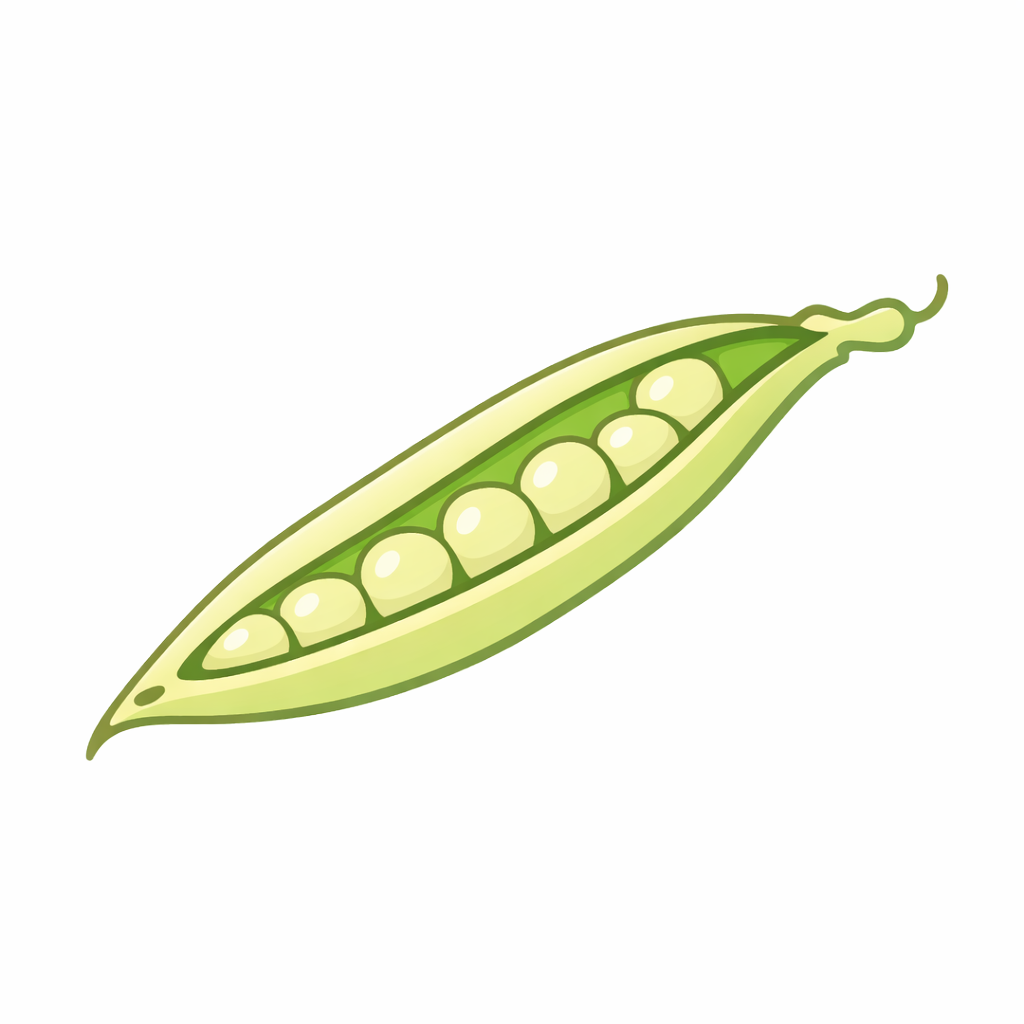 Legume