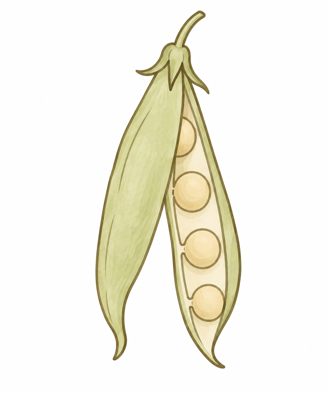 Pod