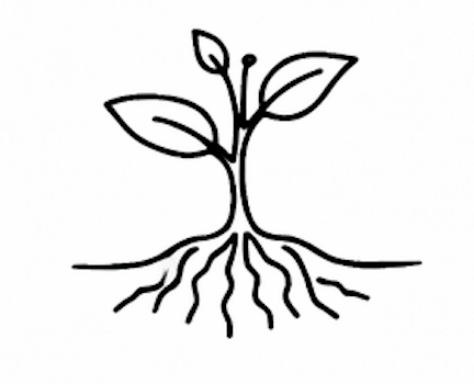 Geophyte