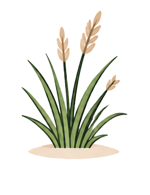 Grass