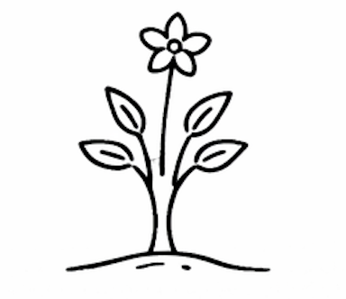 Herb/Forb