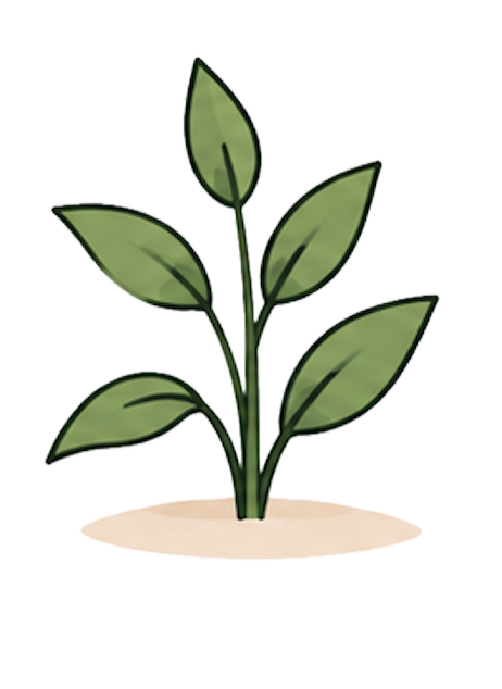 Herb