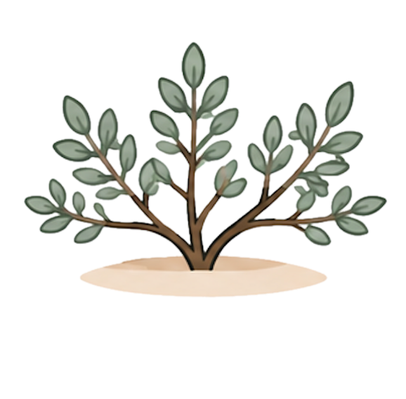 Shrub / Subshrub