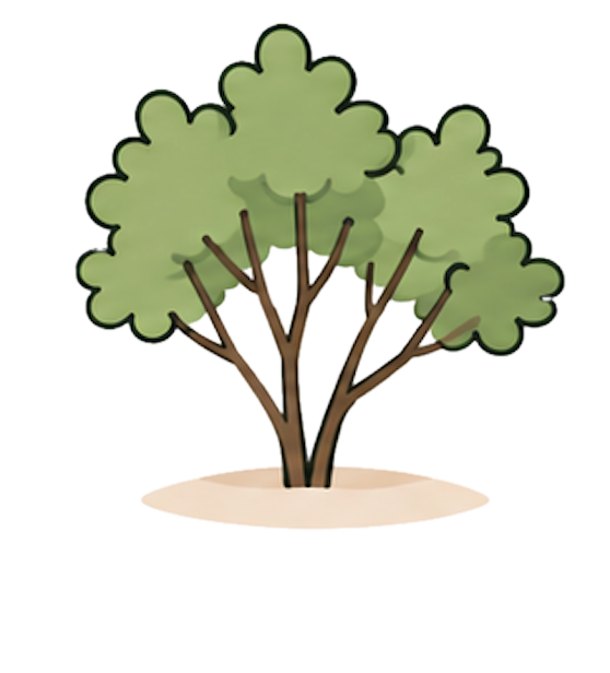 Shrub / Tree