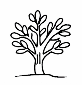 Shrub
