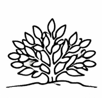 Subshrub