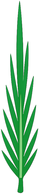Acicular