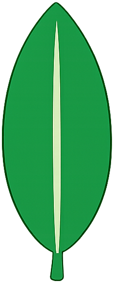 Elliptic
