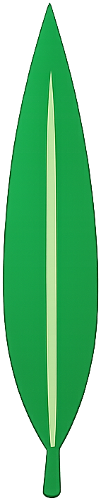 Lanceolate