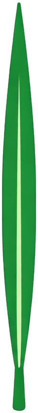Linear