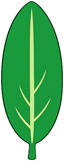Oblong
