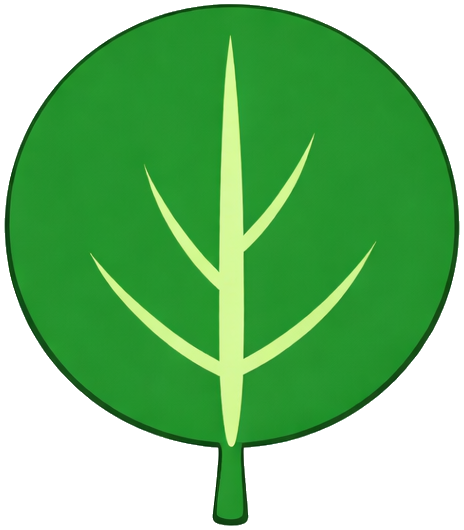 Orbicular