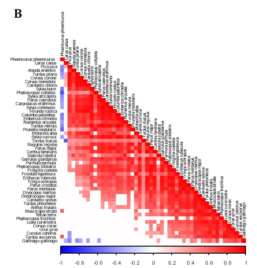JSDM species co-occurrence correlation matrix heatmap