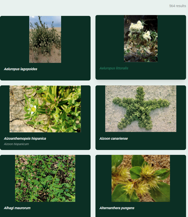 Sample plant species from the database