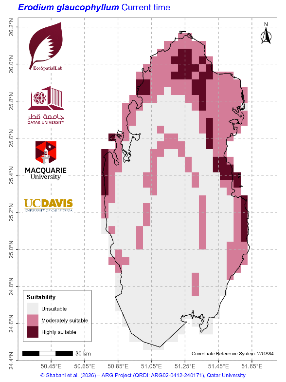 Erodium glaucophyllum current climate suitability map