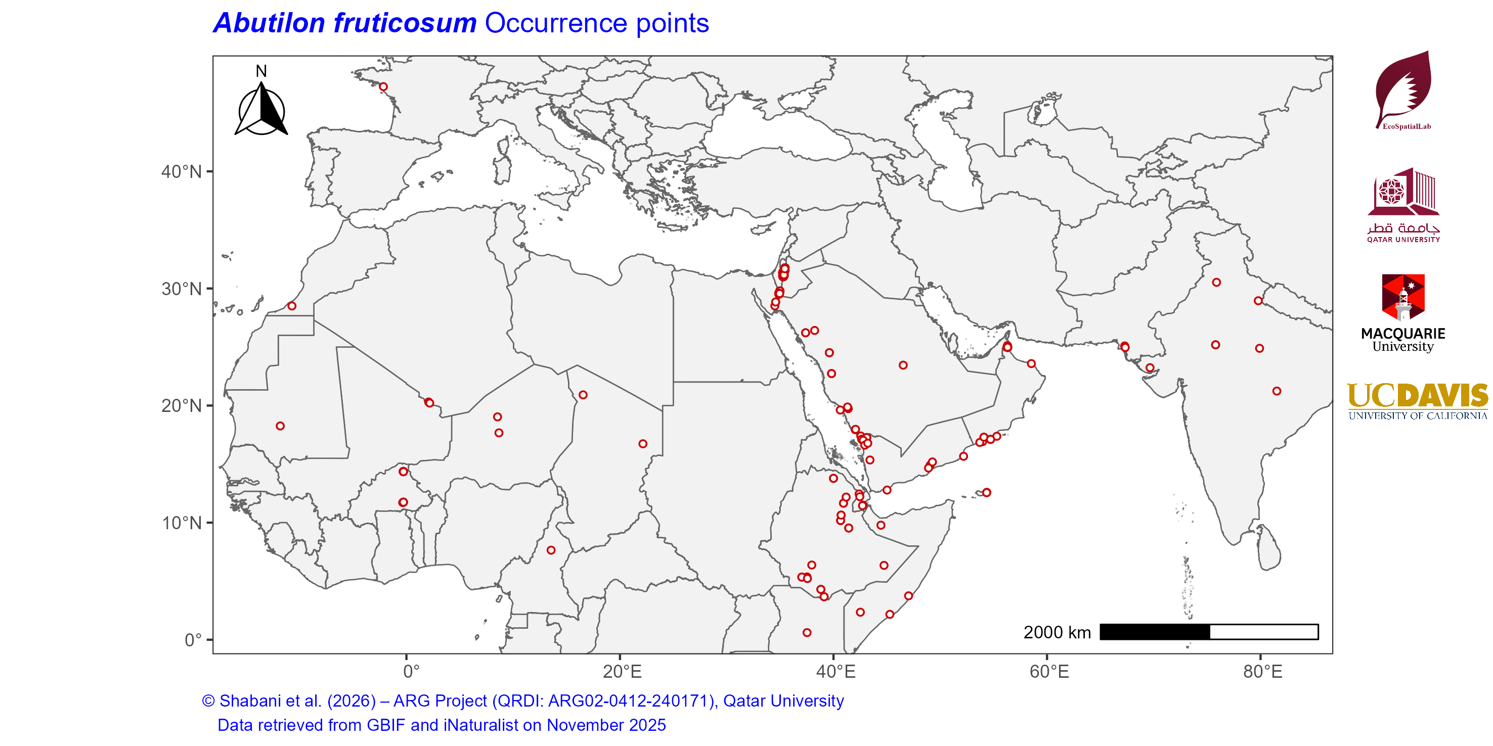 Occurrence Records across the Mediterranean–Middle East–North Africa Dryland Belt — Abutilon fruticosum