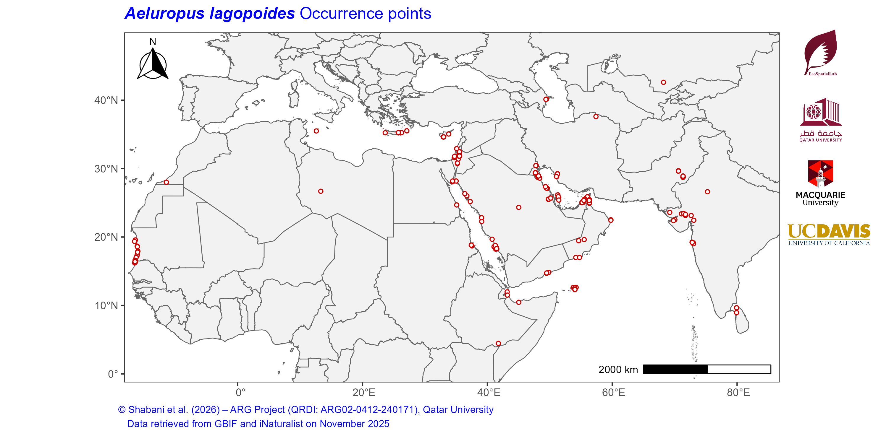 Occurrence Records across the Mediterranean–Middle East–North Africa Dryland Belt — Aeluropus lagopoides