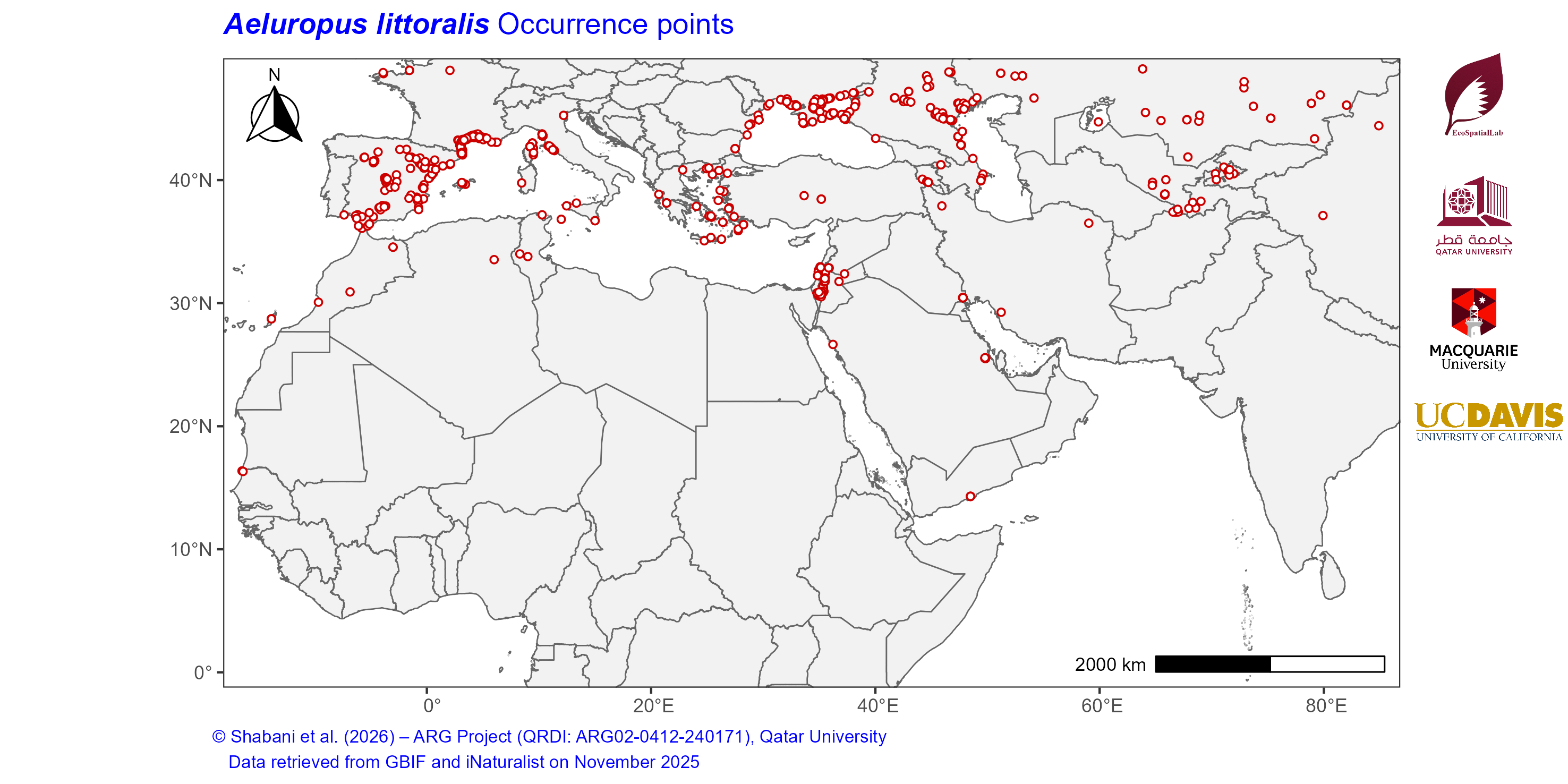 Occurrence Records across the Mediterranean–Middle East–North Africa Dryland Belt — Aeluropus littoralis