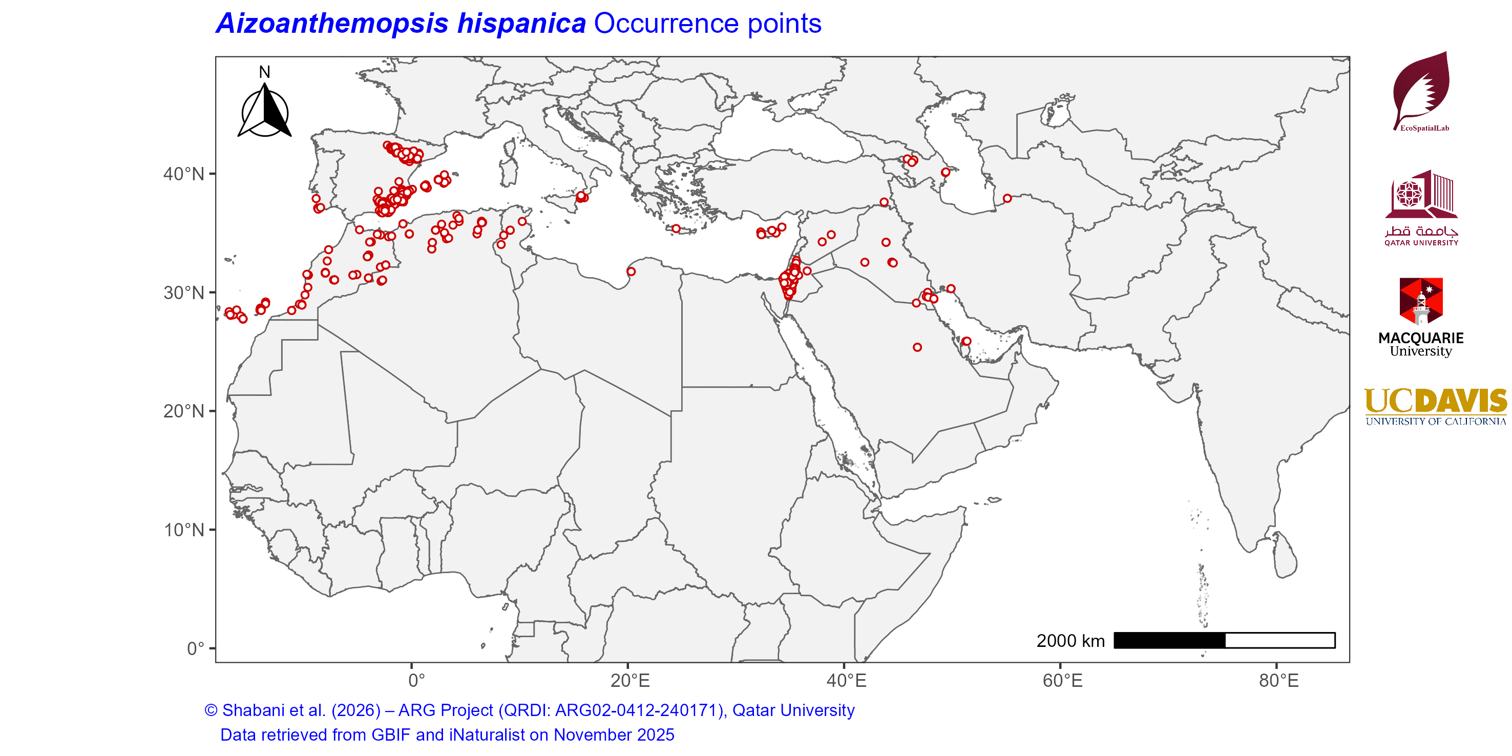Occurrence Records across the Mediterranean–Middle East–North Africa Dryland Belt — Aizoanthemopsis hispanica