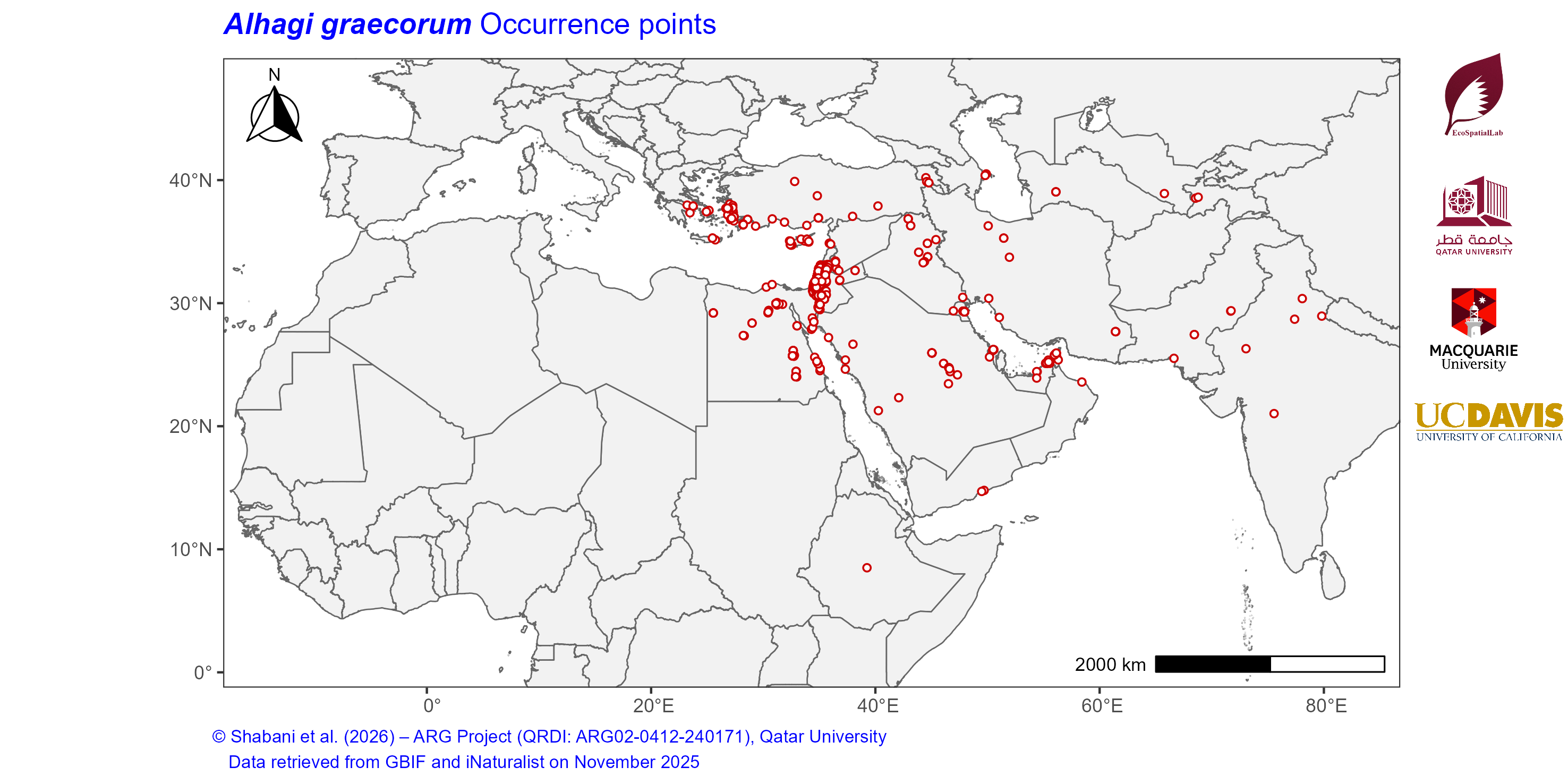Occurrence Records across the Mediterranean–Middle East–North Africa Dryland Belt — Alhagi graecorum