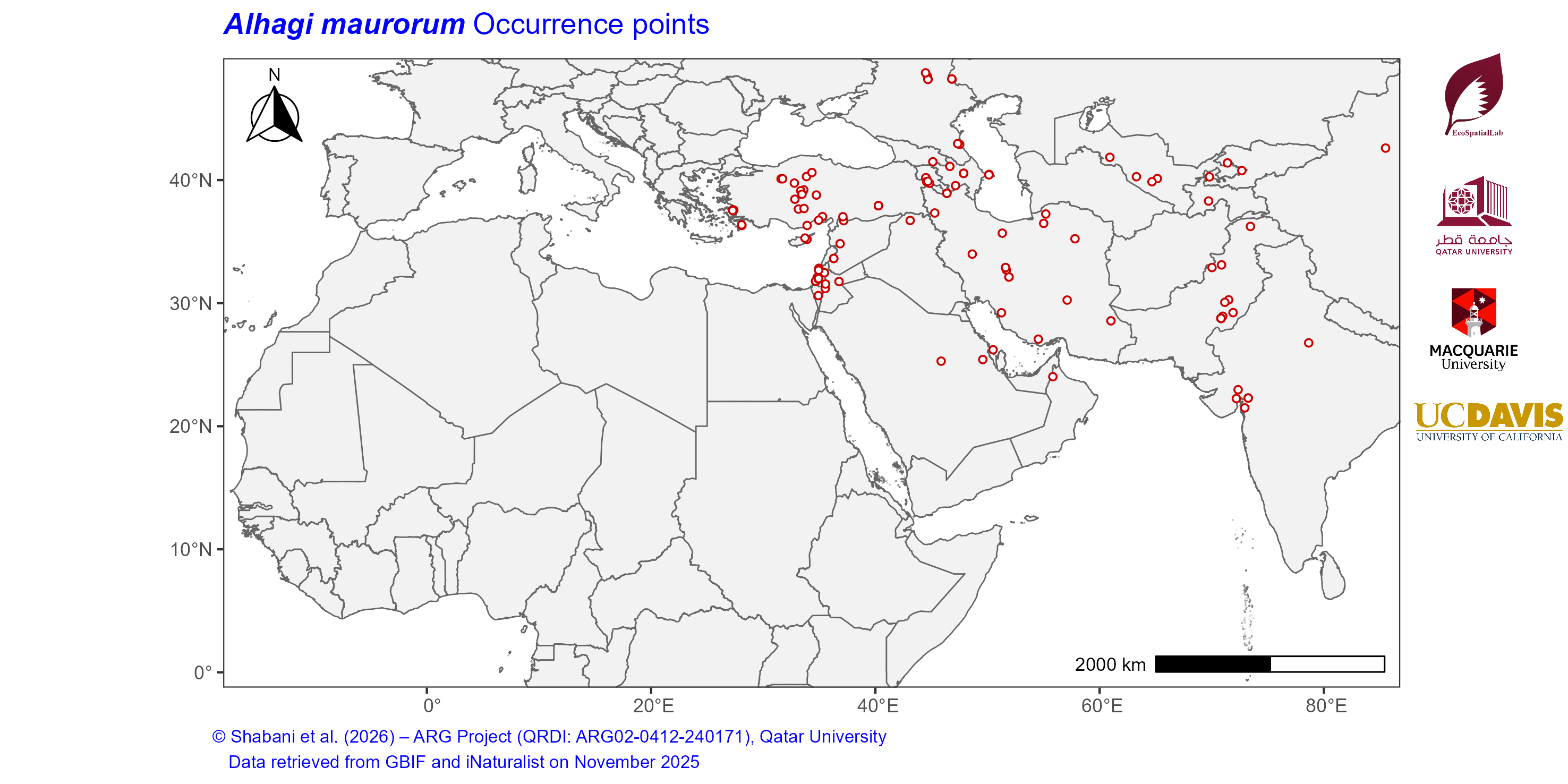 Occurrence Records across the Mediterranean–Middle East–North Africa Dryland Belt — Alhagi maurorum