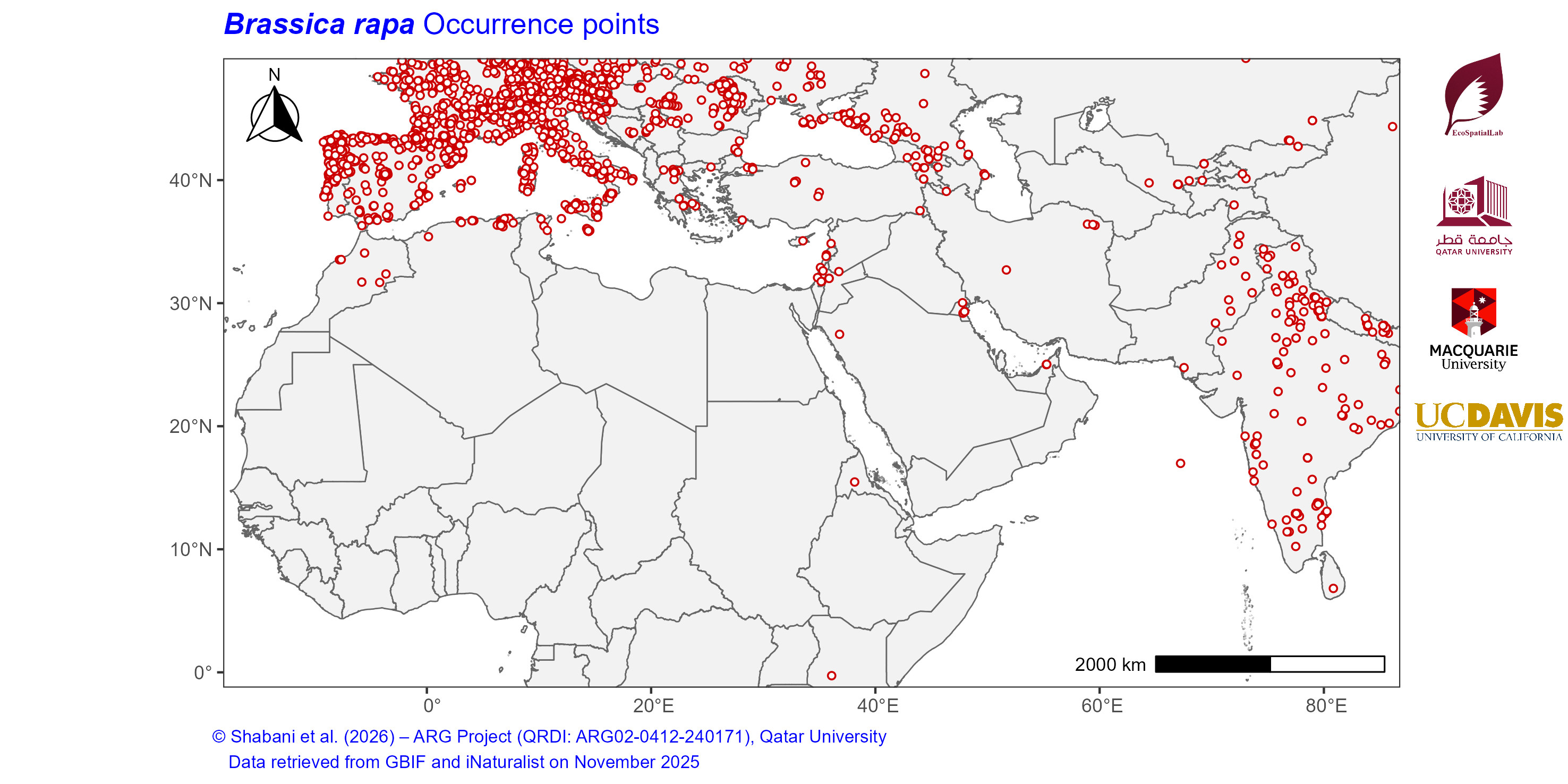 Occurrence Records across the Mediterranean–Middle East–North Africa Dryland Belt — Brassica rapa