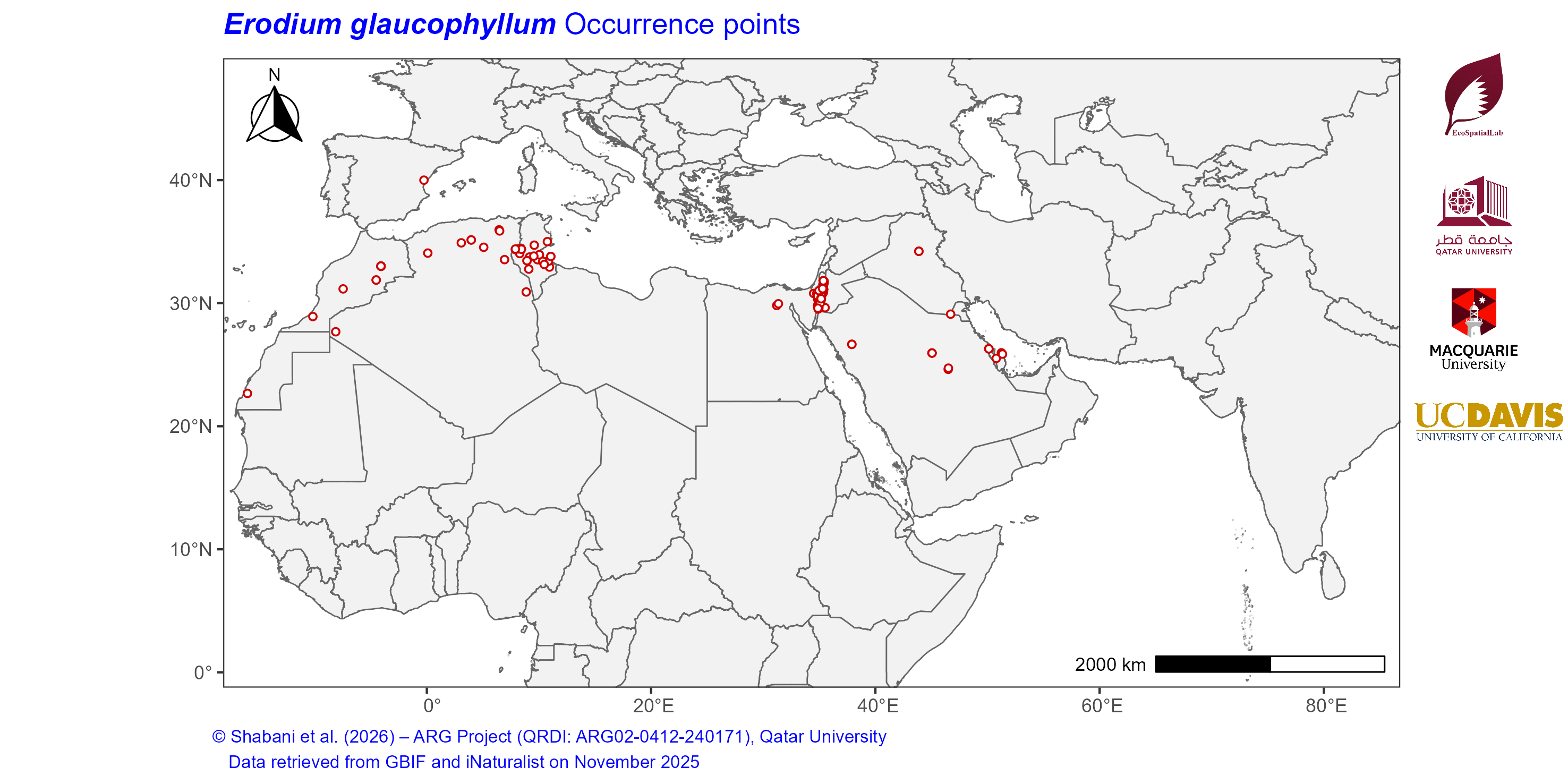 Occurrence Records across the Mediterranean–Middle East–North Africa Dryland Belt — Erodium glaucophyllum