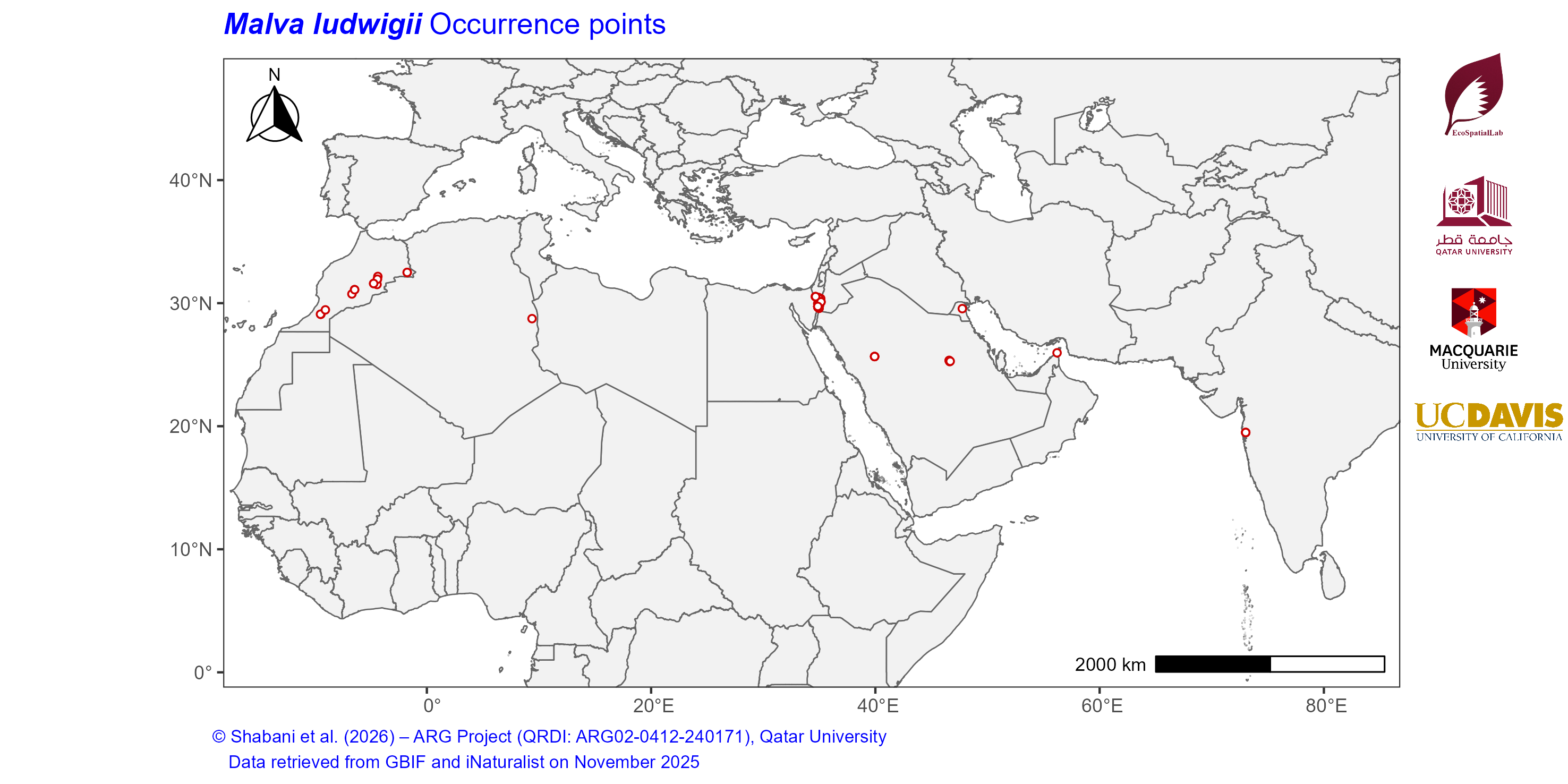 Occurrence Records across the Mediterranean–Middle East–North Africa Dryland Belt — Malva ludwigii