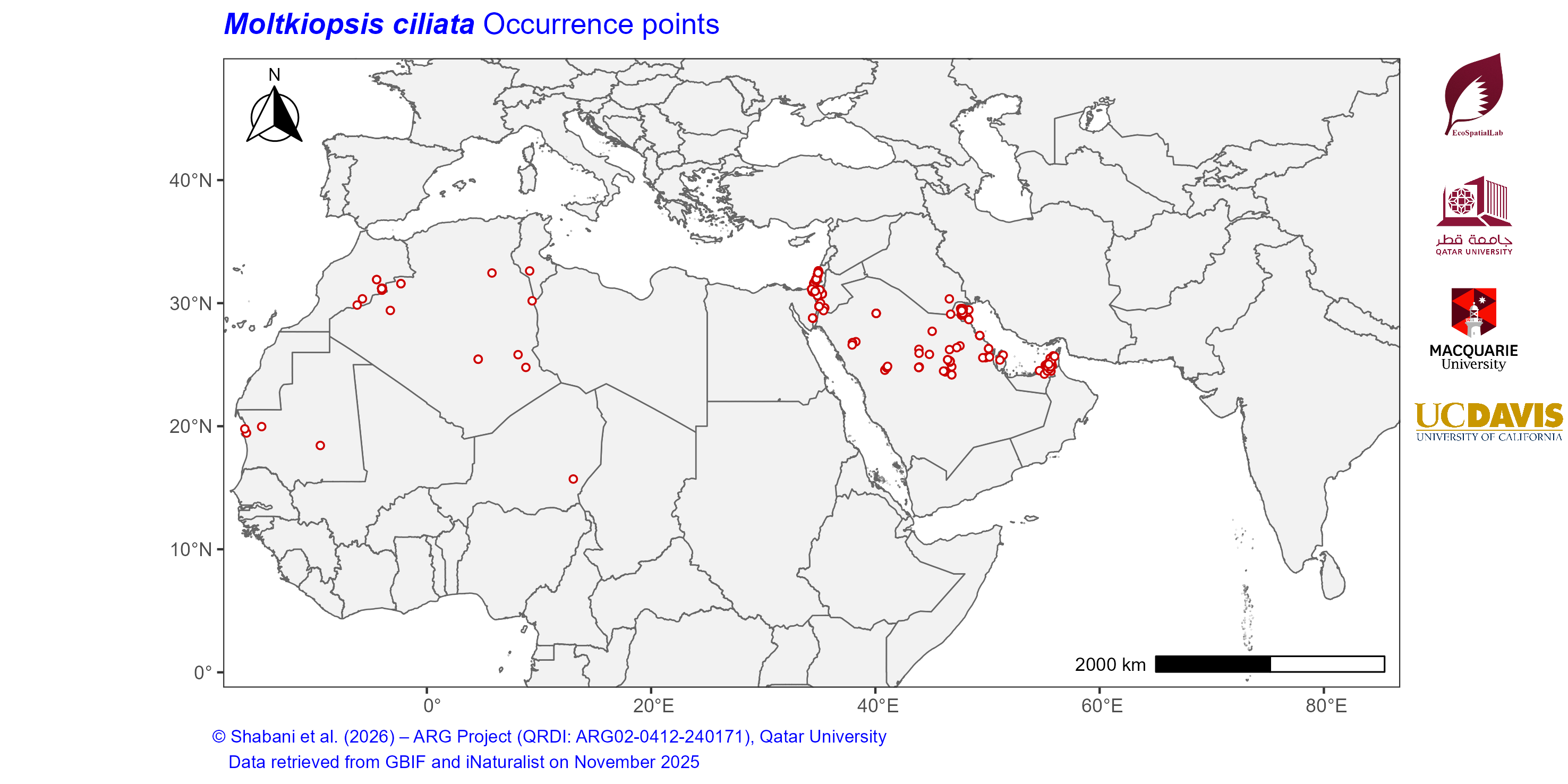 Occurrence Records across the Mediterranean–Middle East–North Africa Dryland Belt — Moltkiopsis ciliata