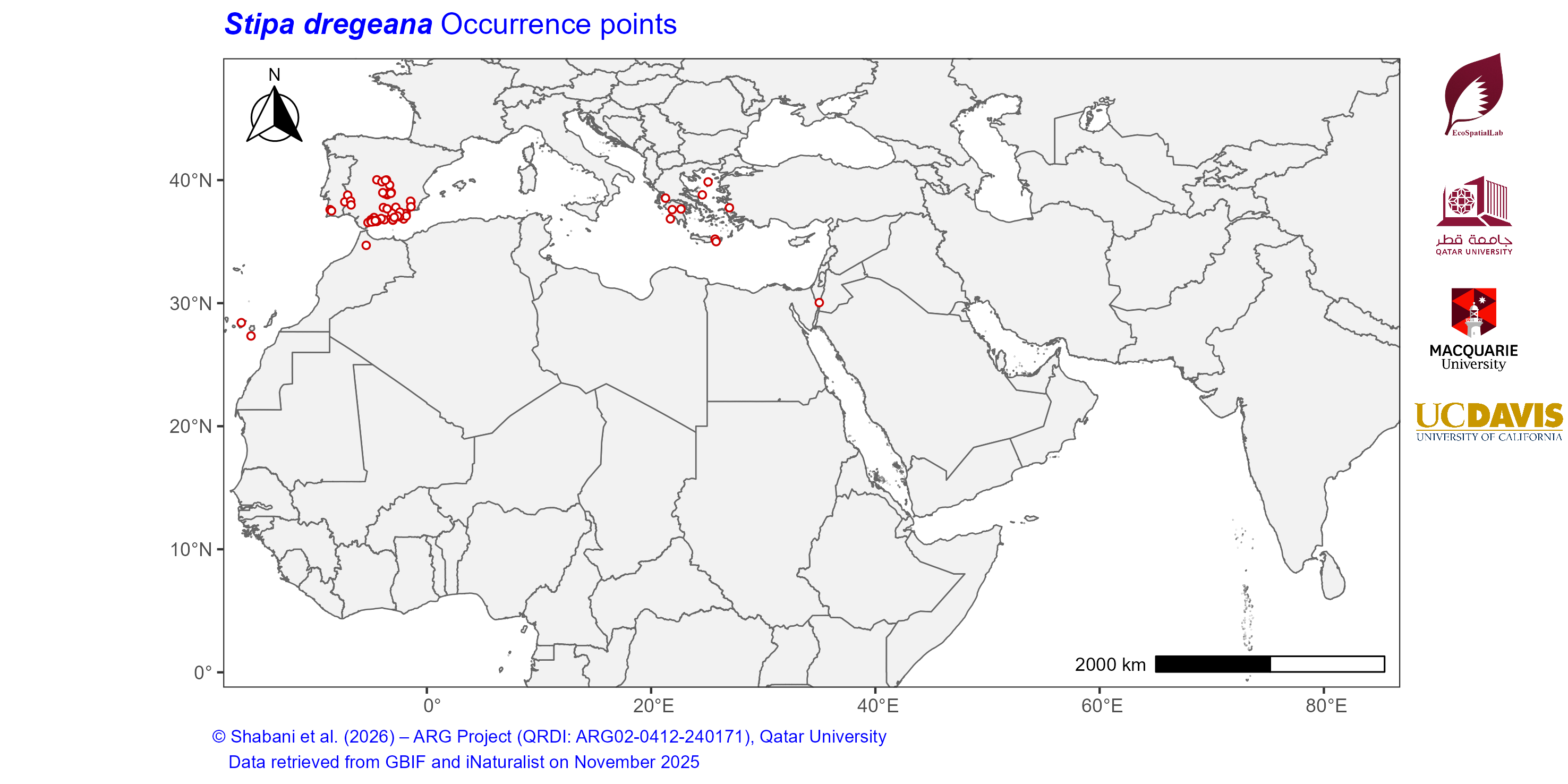 Occurrence Records across the Mediterranean–Middle East–North Africa Dryland Belt — Stipa dregeana
