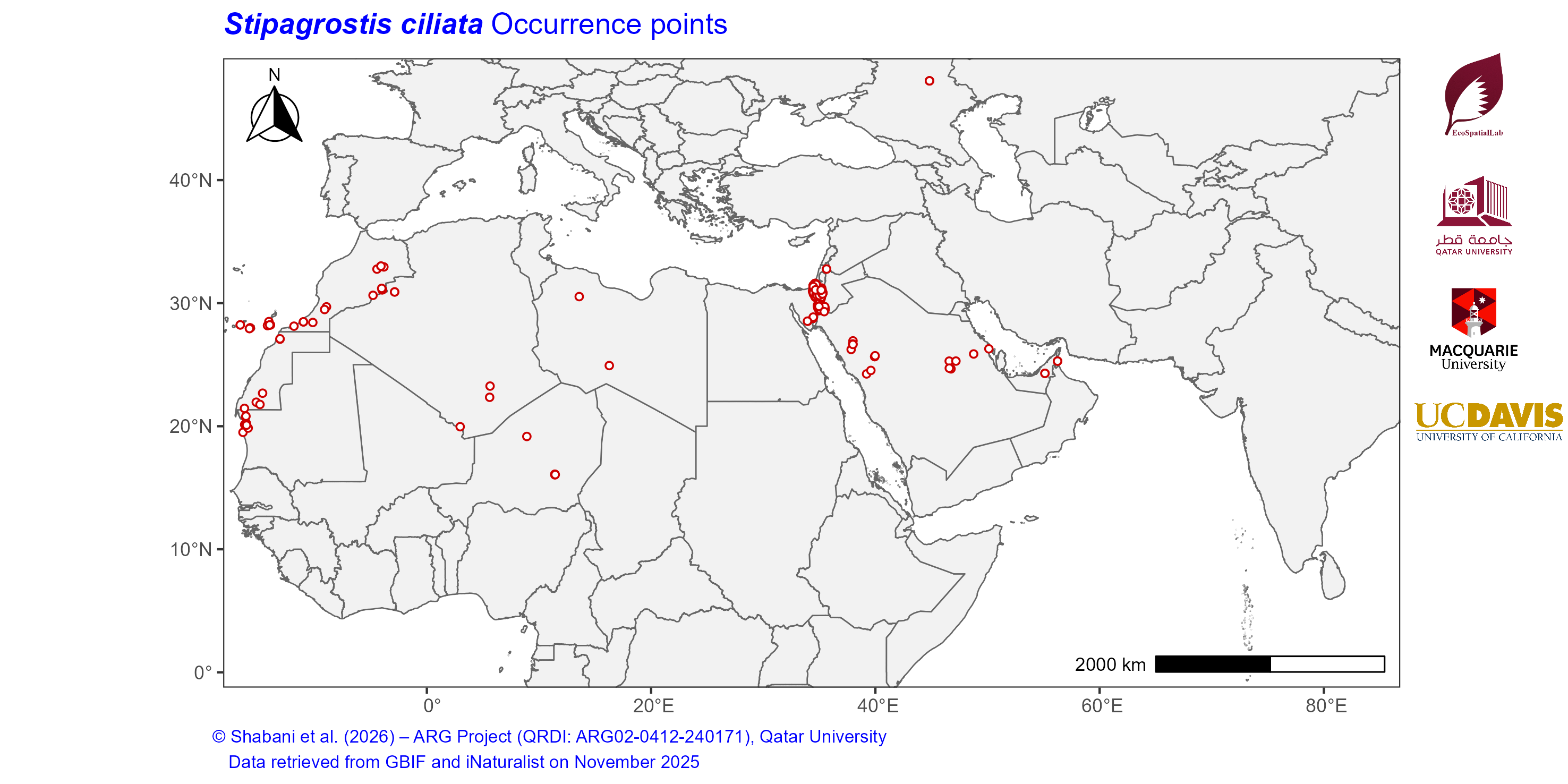 Occurrence Records across the Mediterranean–Middle East–North Africa Dryland Belt — Stipagrostis ciliata