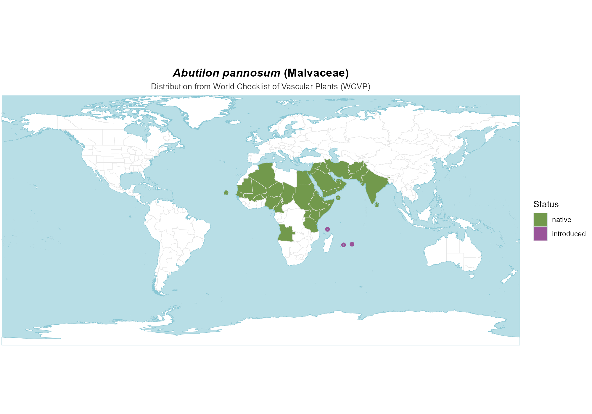 Origin Map — Abutilon pannosum