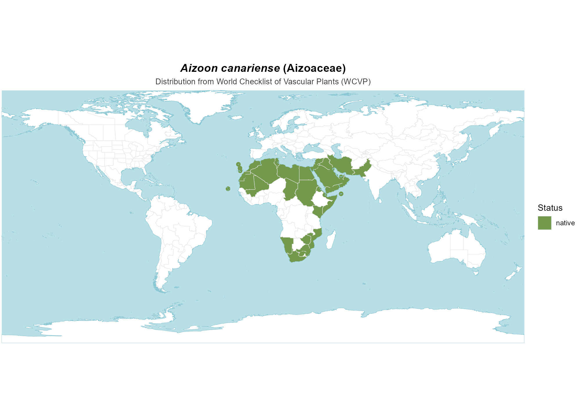 Origin Map — Aizoon canariense
