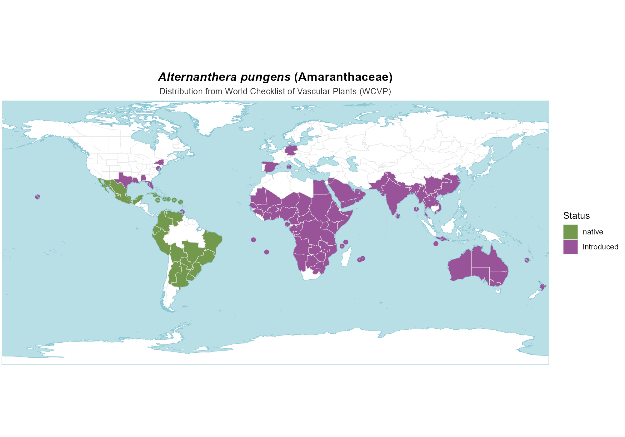 Origin Map — Alternanthera pungens
