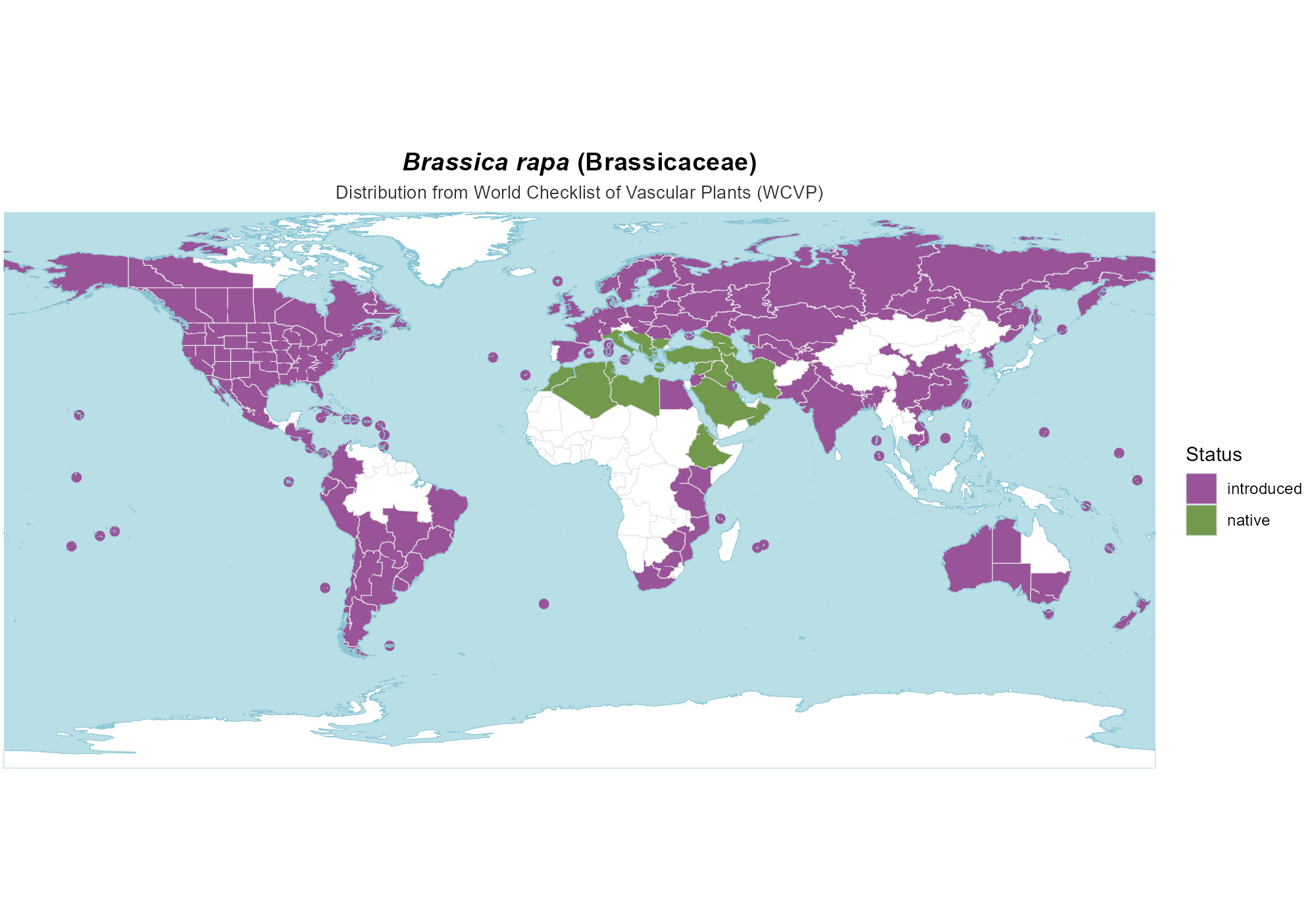 Origin Map — Brassica rapa