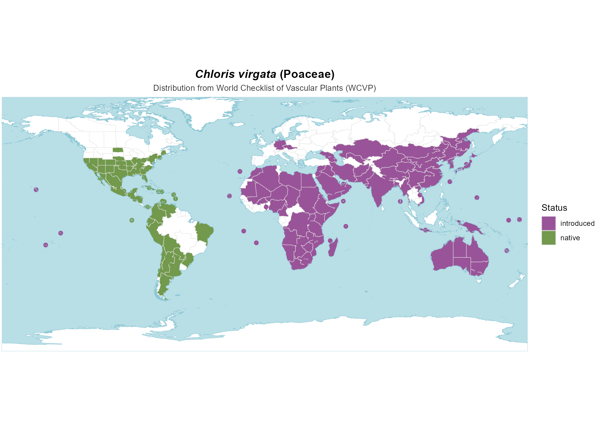 Origin Map — Chloris virgata