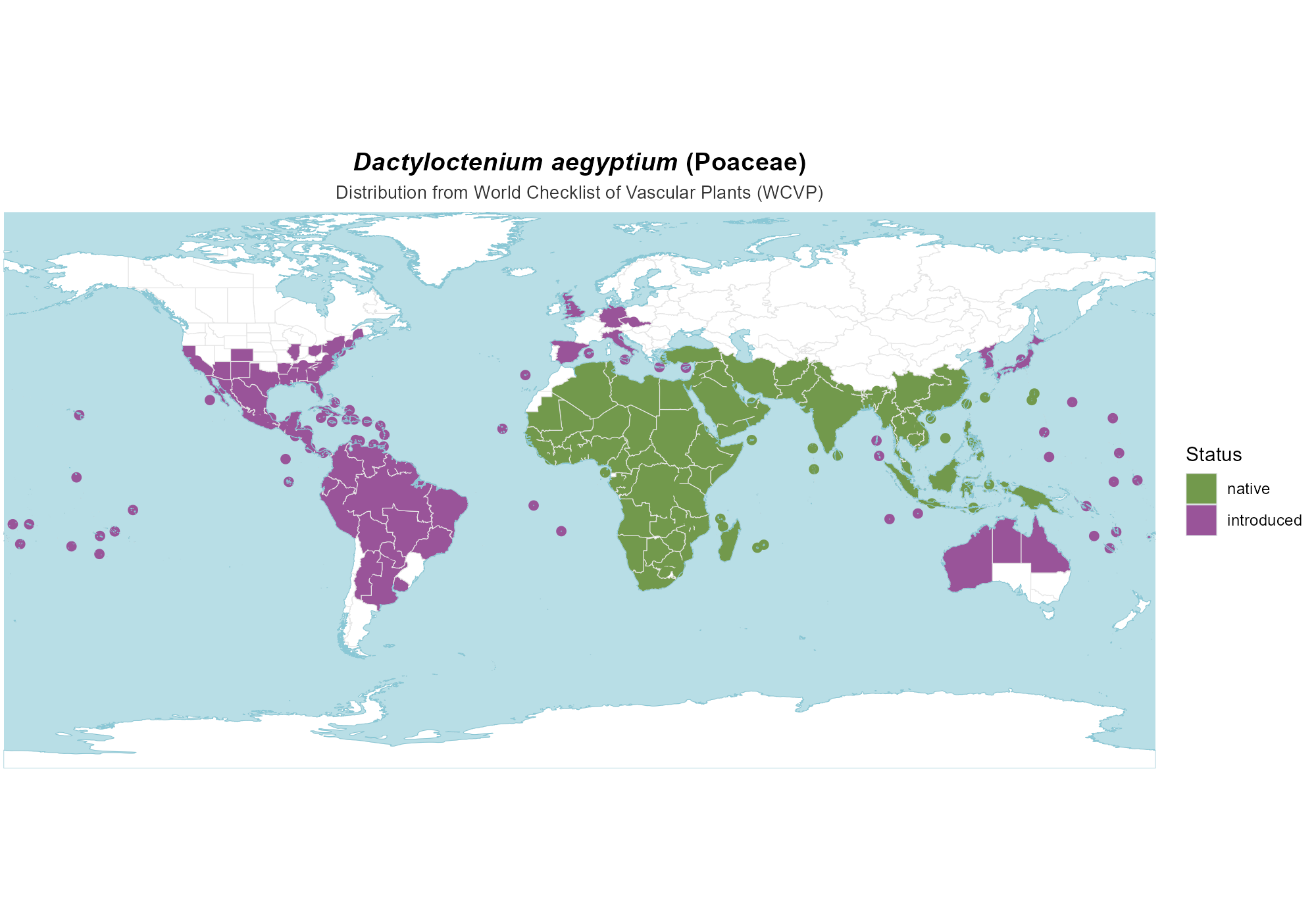 Origin Map — Dactyloctenium aegyptium