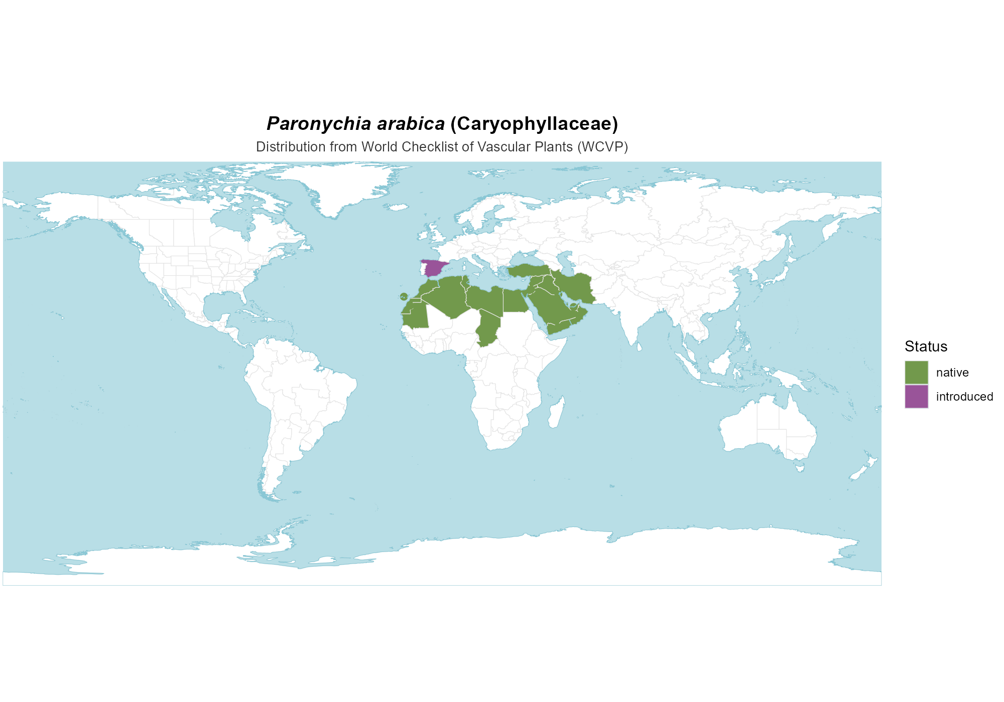 Origin Map — Paronychia arabica